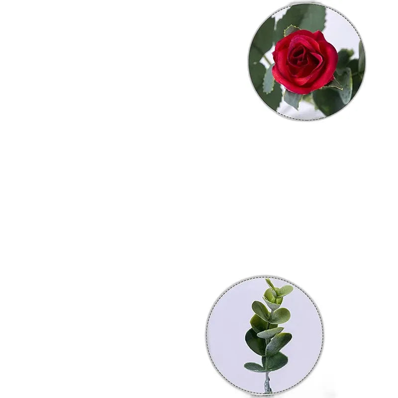 cleaned variant image