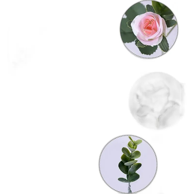 cleaned variant image