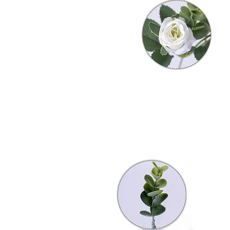 cleaned variant image