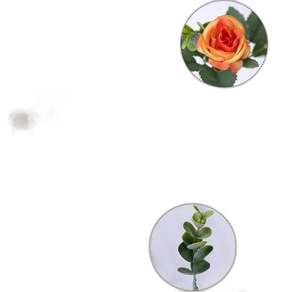 Cleaned variant image