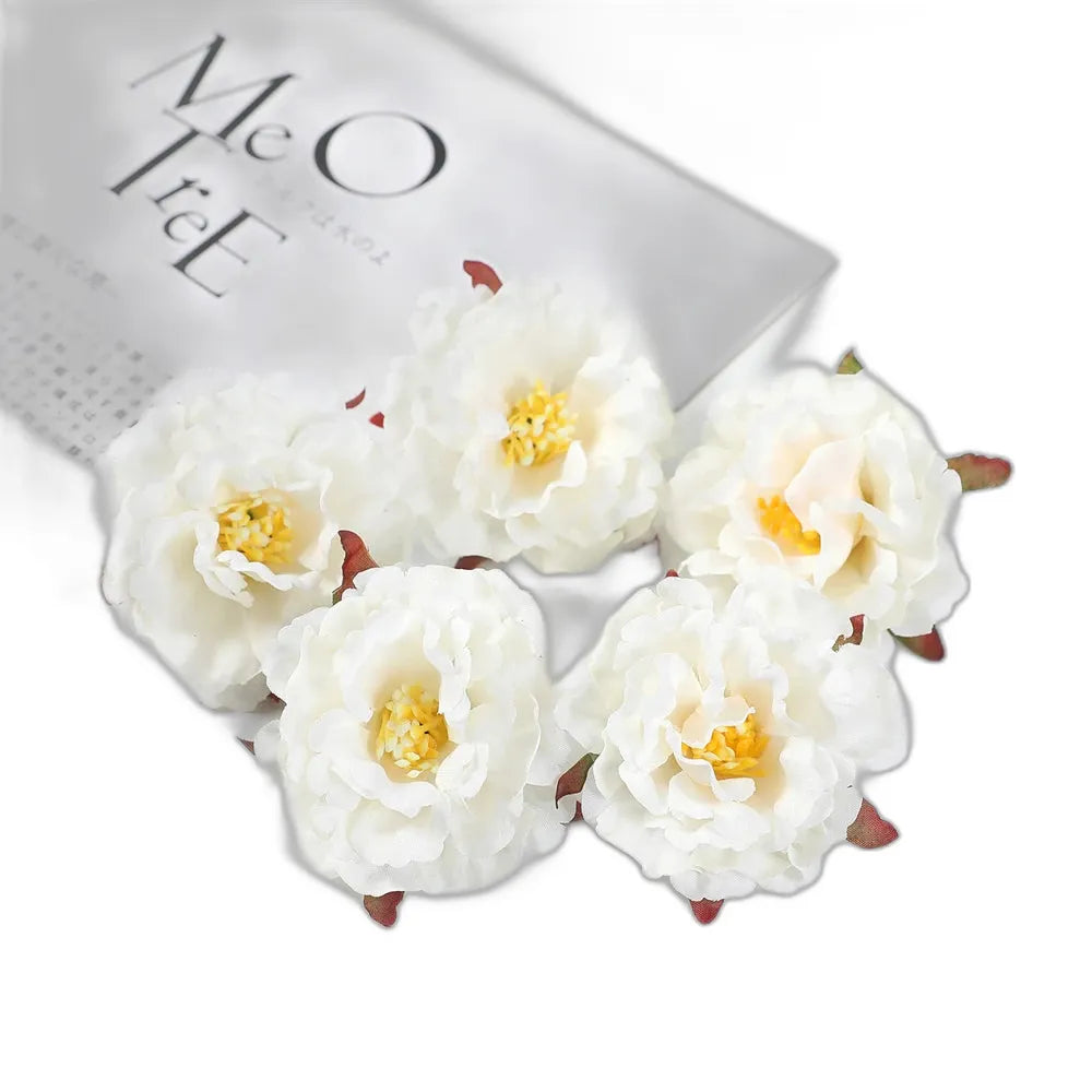 cleaned variant image