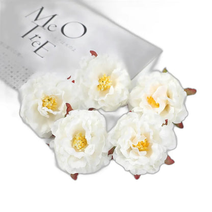 Cleaned variant image