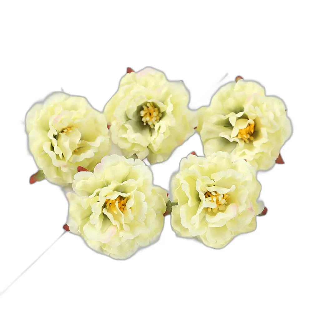 cleaned variant image