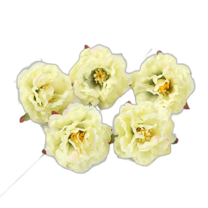 Cleaned variant image