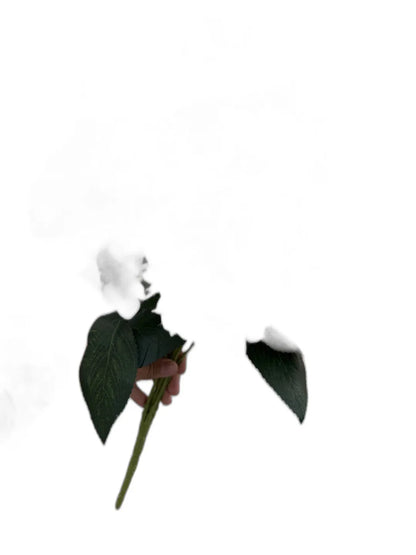 Cleaned variant image