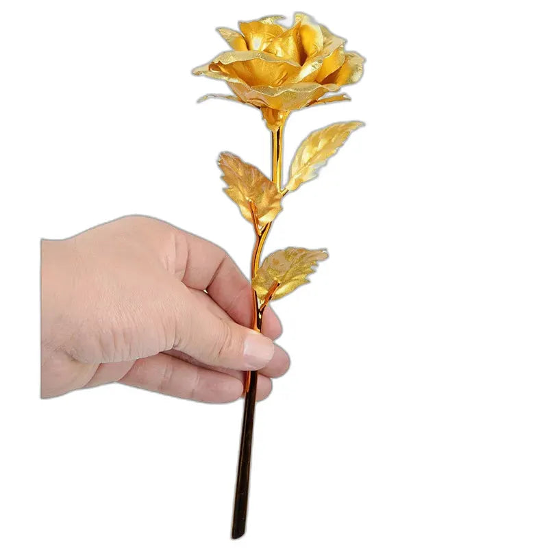 cleaned variant image