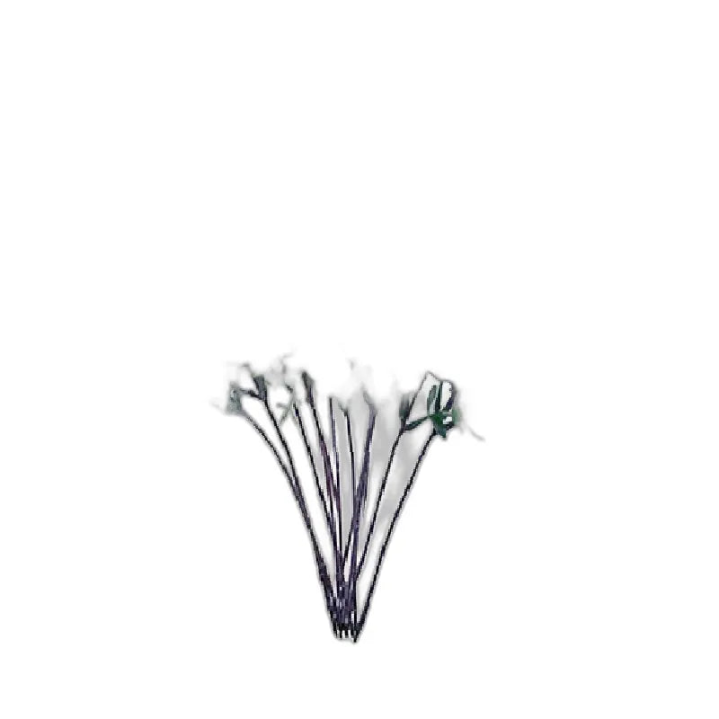 cleaned variant image