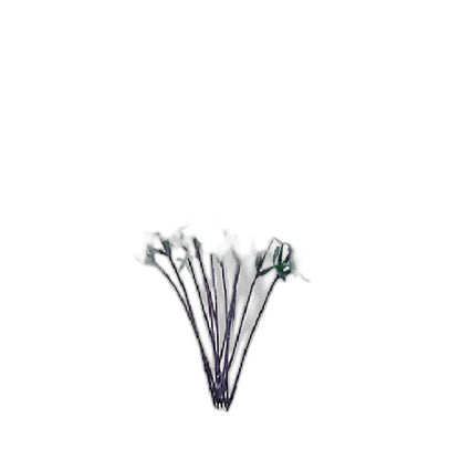 Cleaned variant image