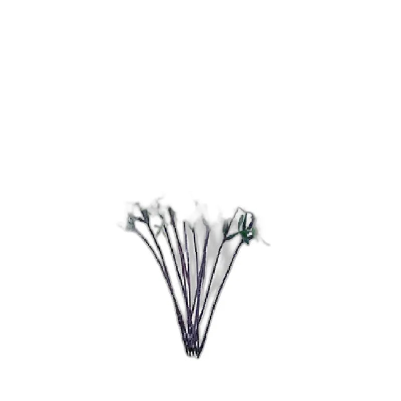 cleaned variant image