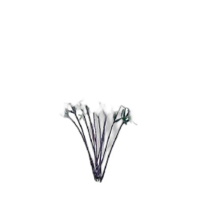 Cleaned variant image