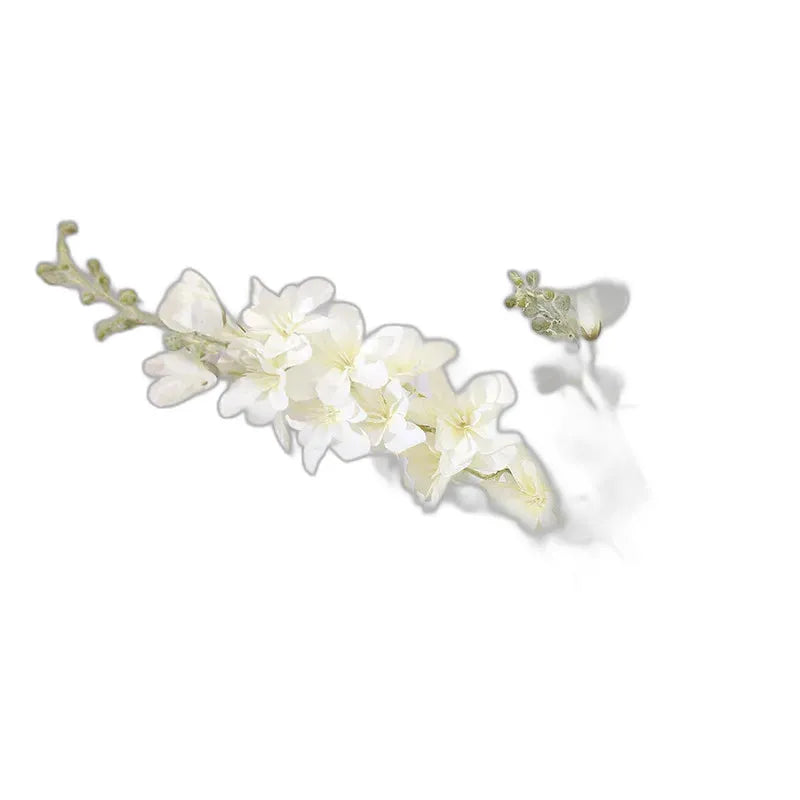 cleaned variant image