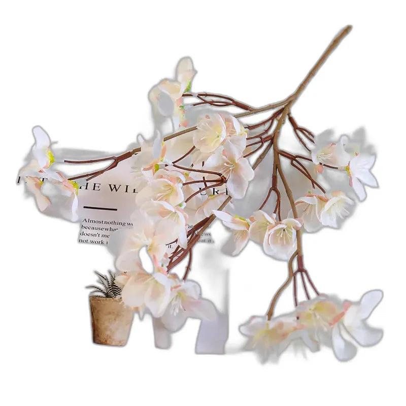 cleaned variant image