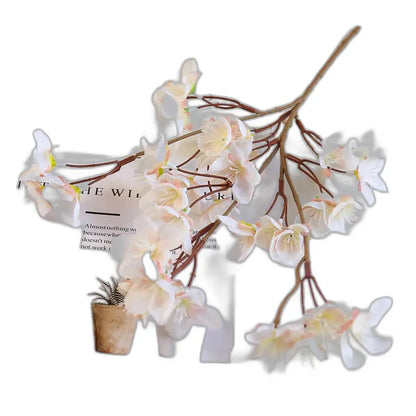 Cleaned variant image