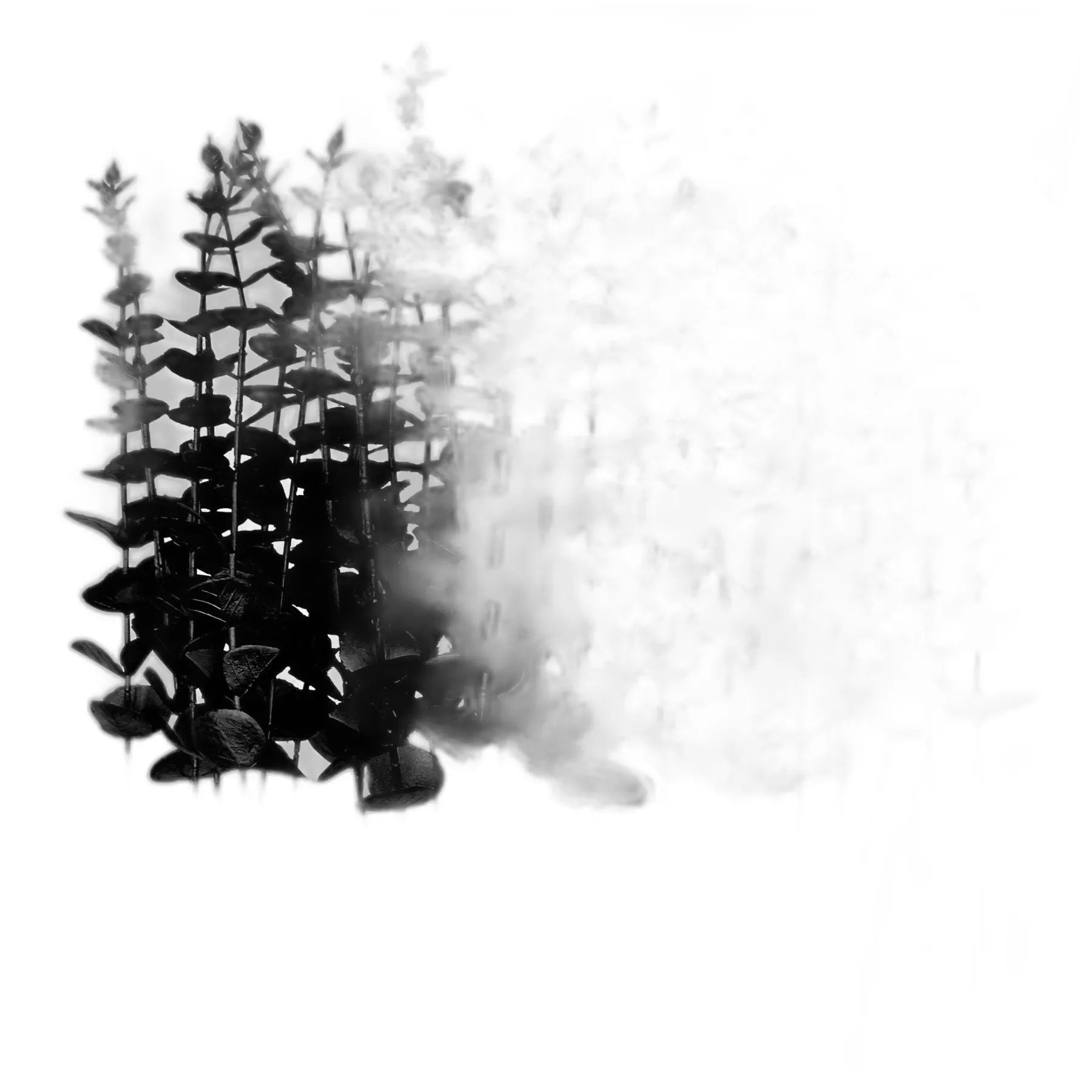 Cleaned variant image