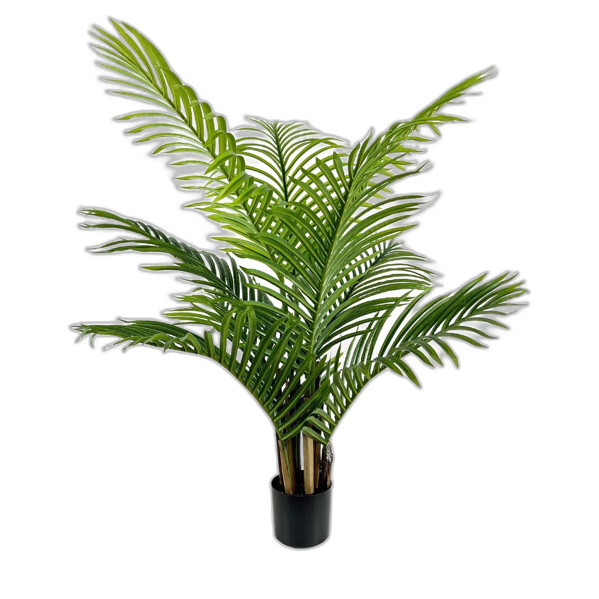 Cleaned variant image