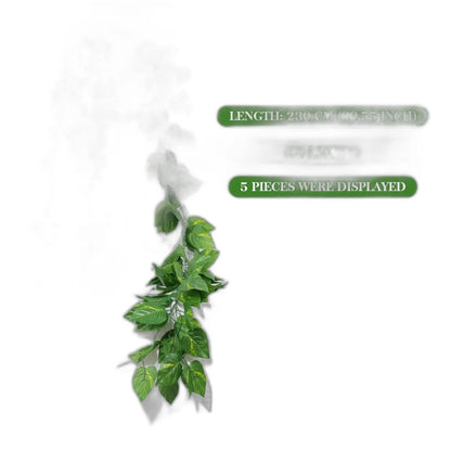 Cleaned variant image