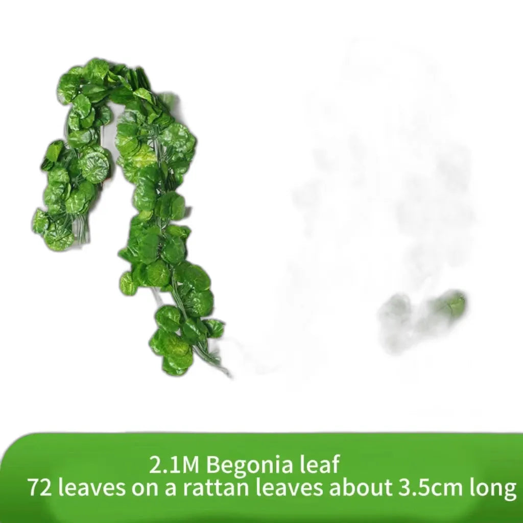 cleaned variant image