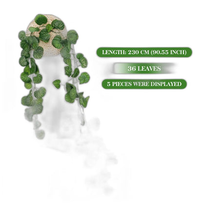 Cleaned variant image