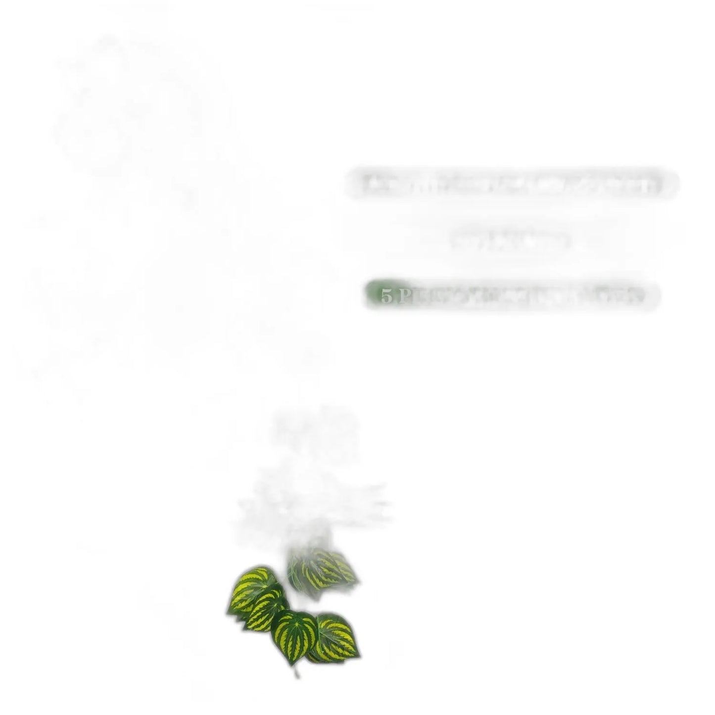 cleaned variant image