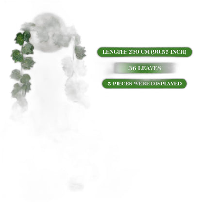 Cleaned variant image