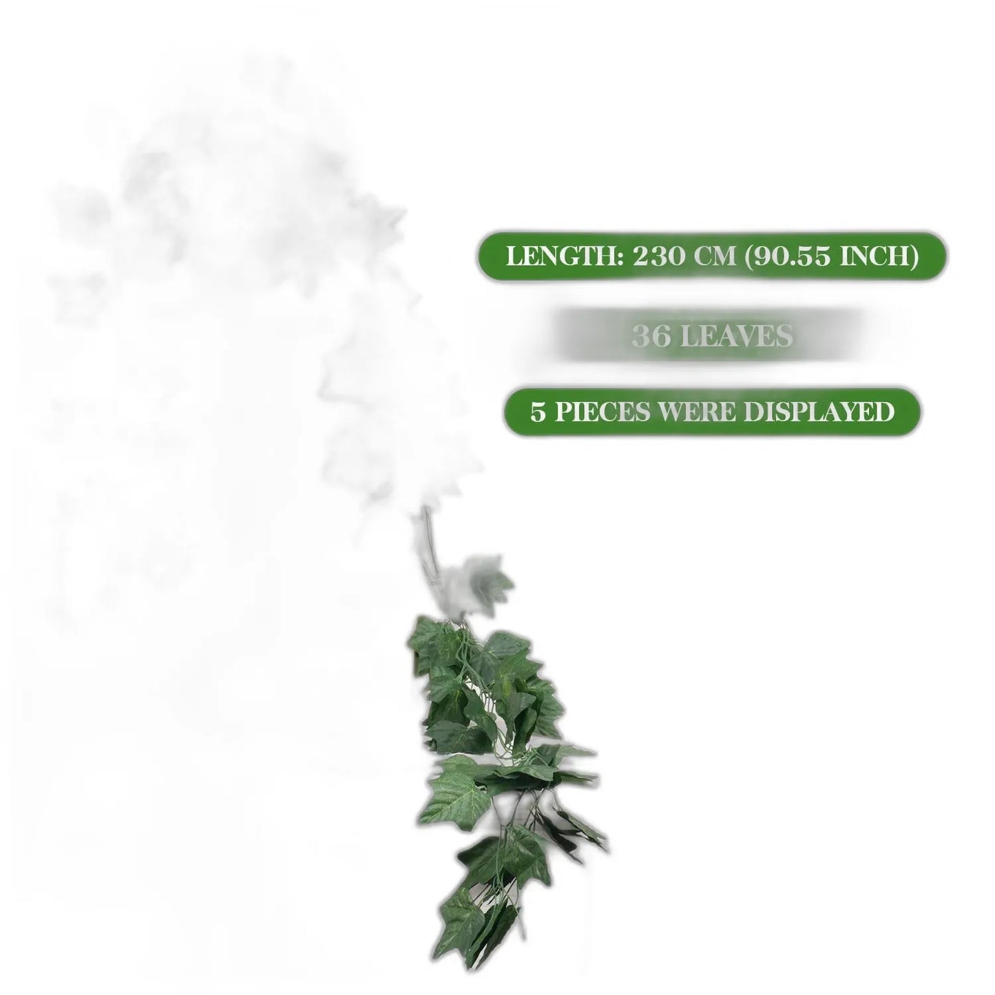 cleaned variant image