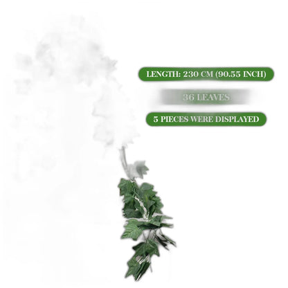 Cleaned variant image