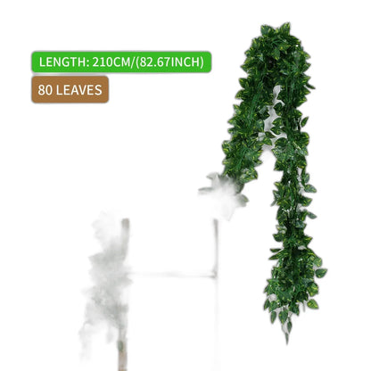 Cleaned variant image