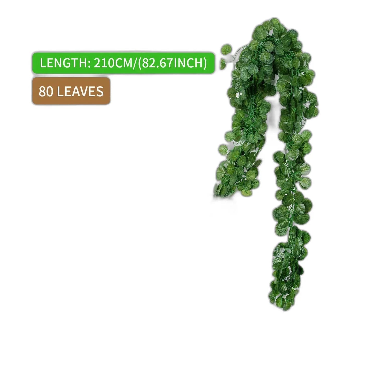 cleaned variant image