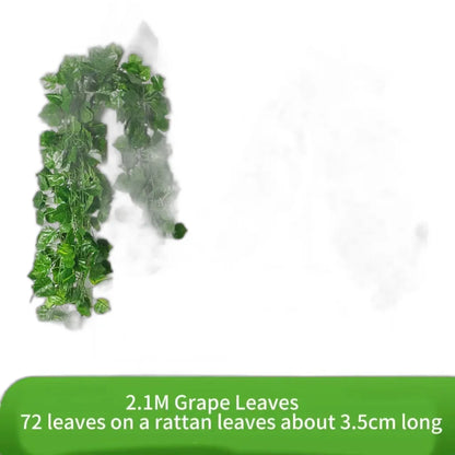 Cleaned variant image