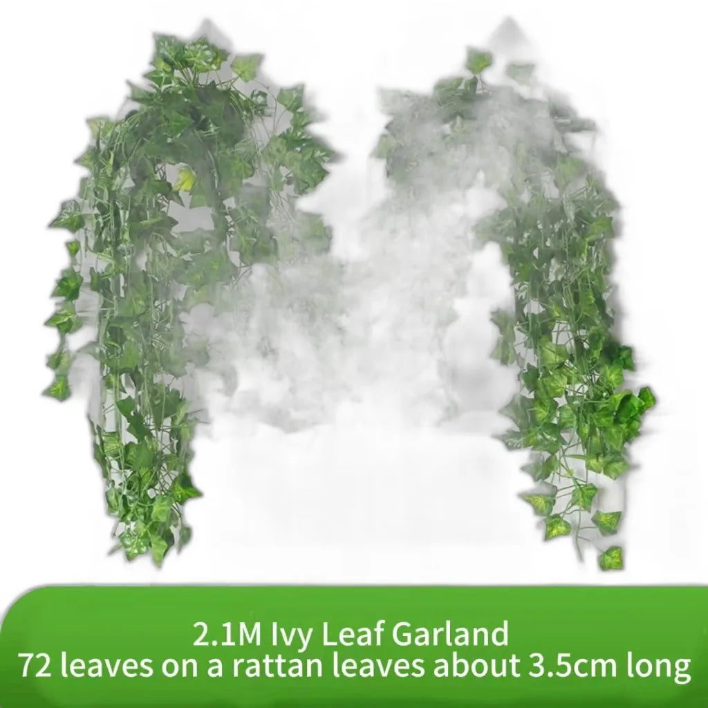 cleaned variant image