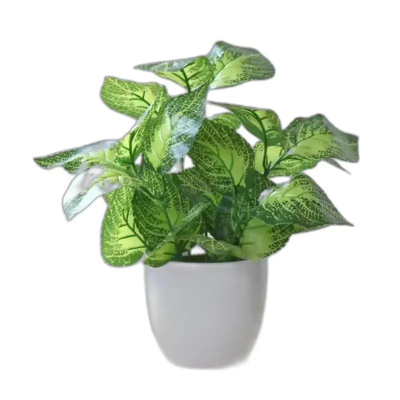 cleaned variant image