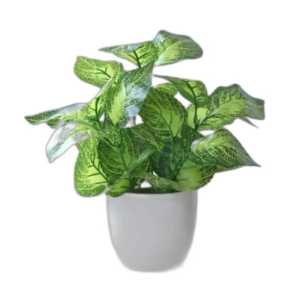 Cleaned variant image