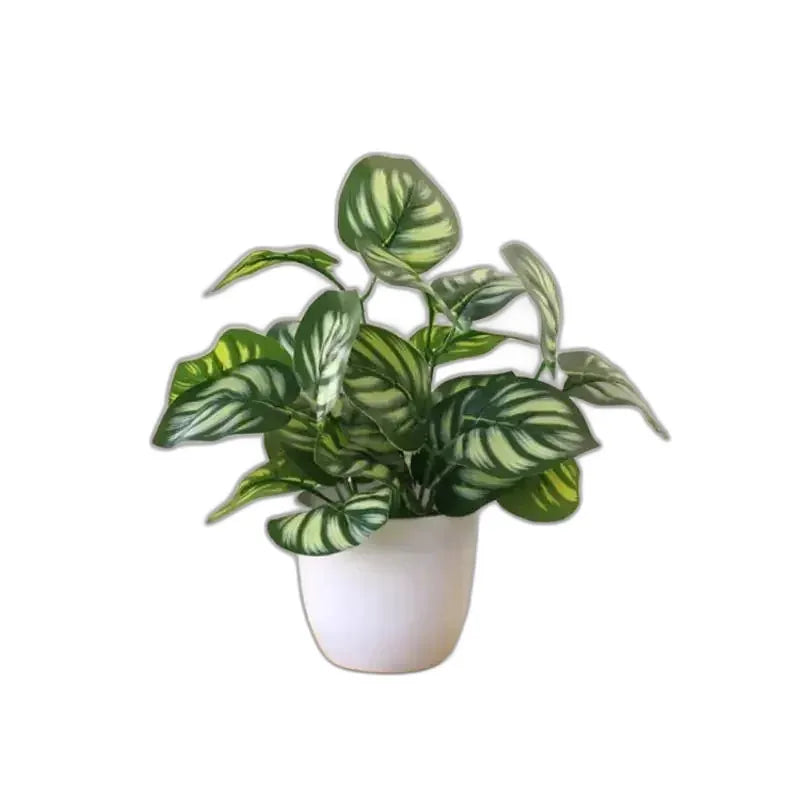 cleaned variant image