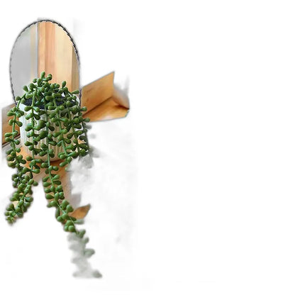 Cleaned variant image