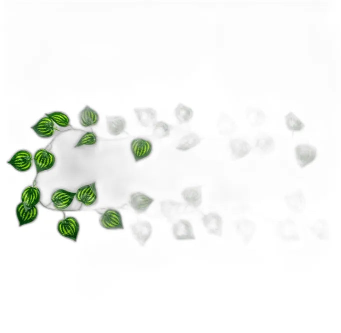 cleaned variant image