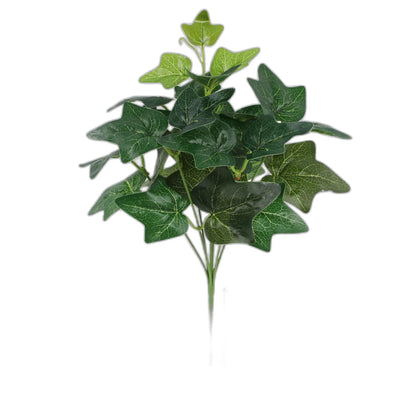 Cleaned variant image