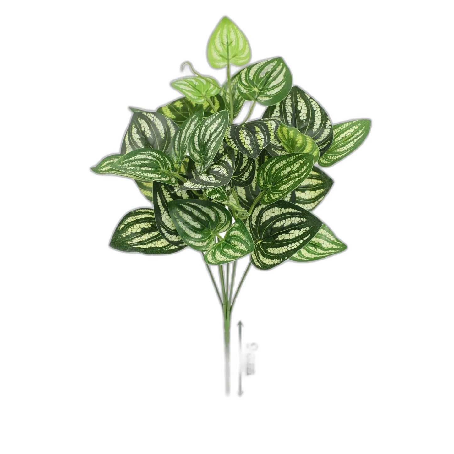 cleaned variant image