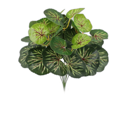 Cleaned variant image