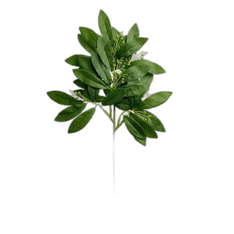 cleaned variant image