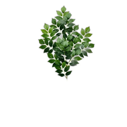 Cleaned variant image