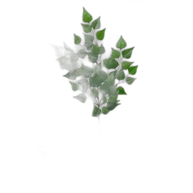 cleaned variant image