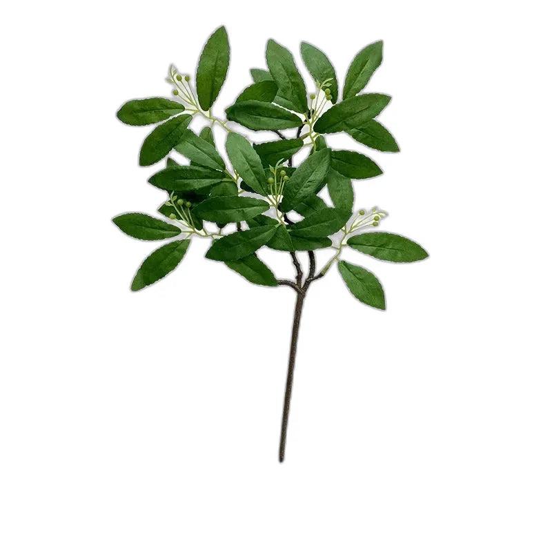 cleaned variant image