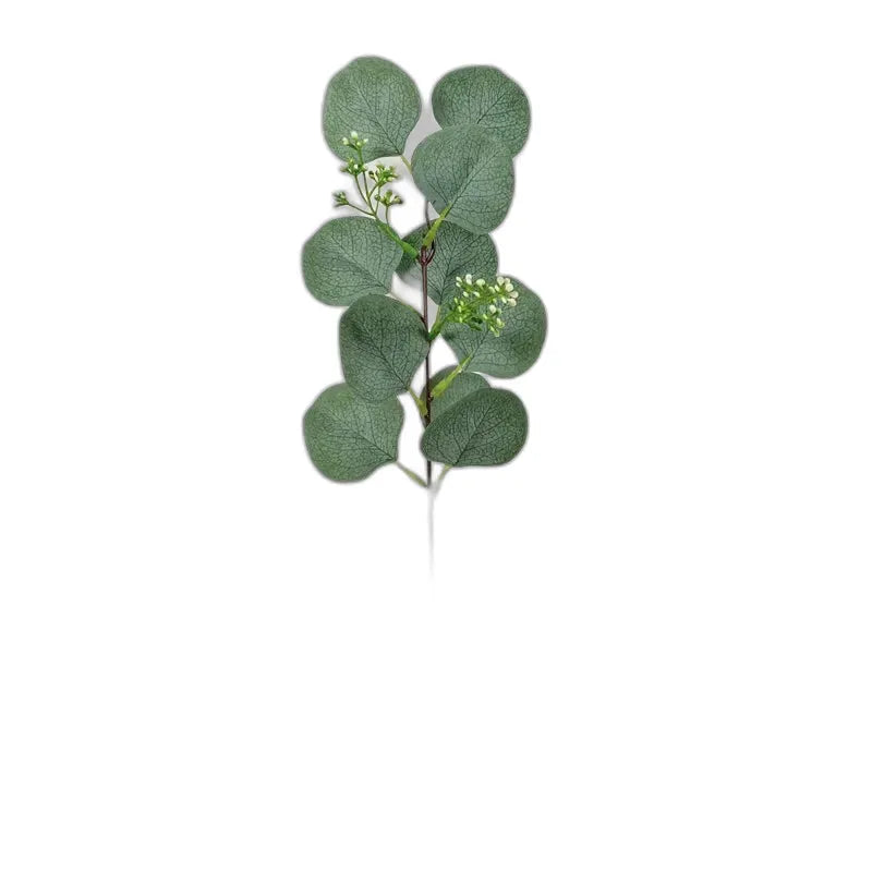 cleaned variant image