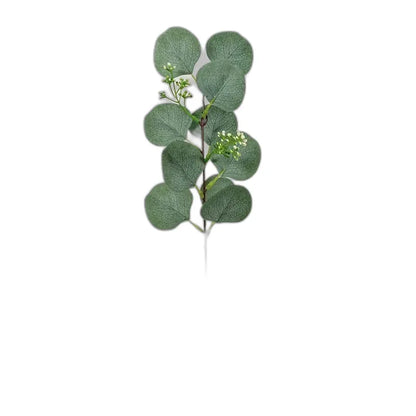 Cleaned variant image