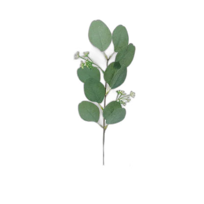 Cleaned variant image