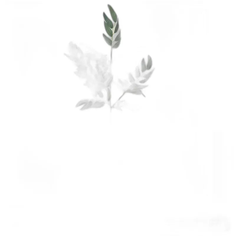 cleaned variant image