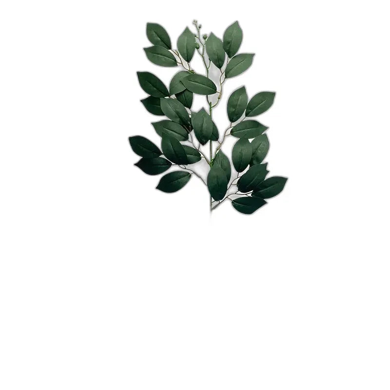 cleaned variant image