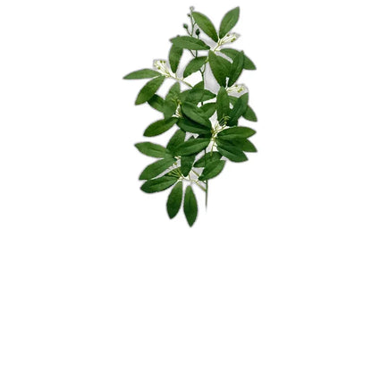 Cleaned variant image