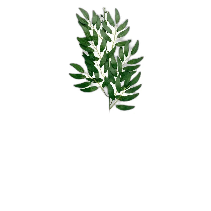 cleaned variant image