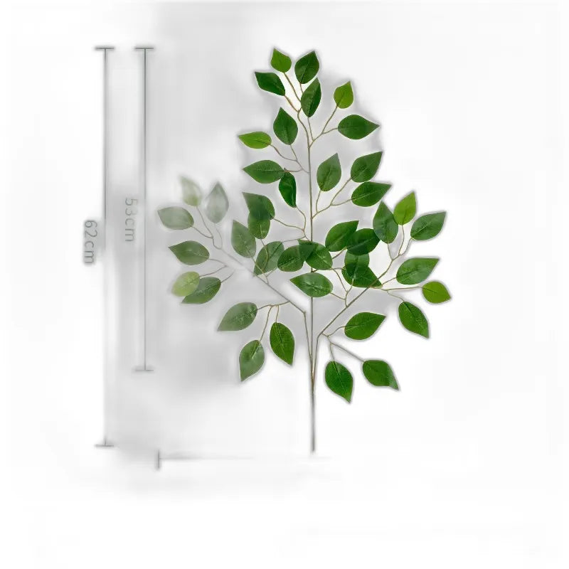 cleaned variant image